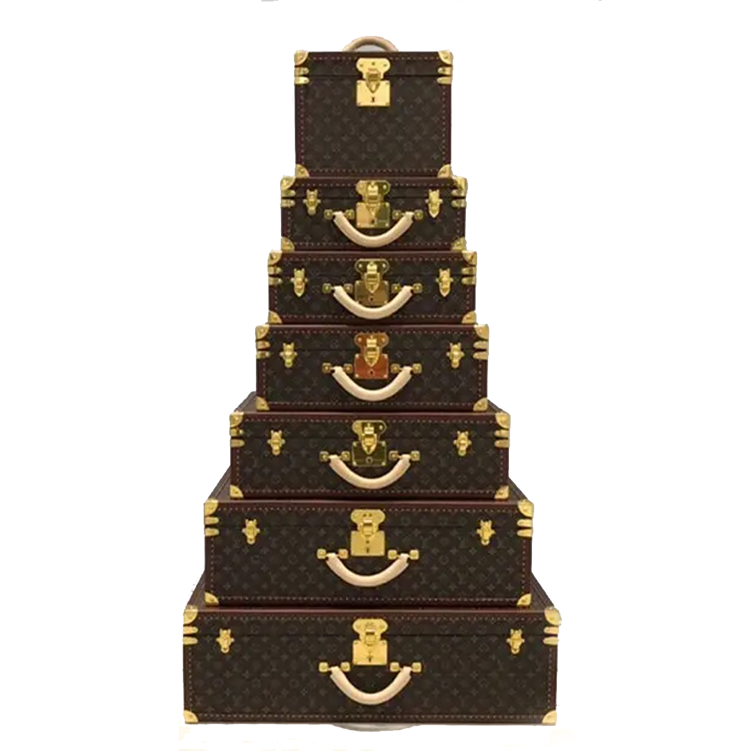 Luxury Luggage Set