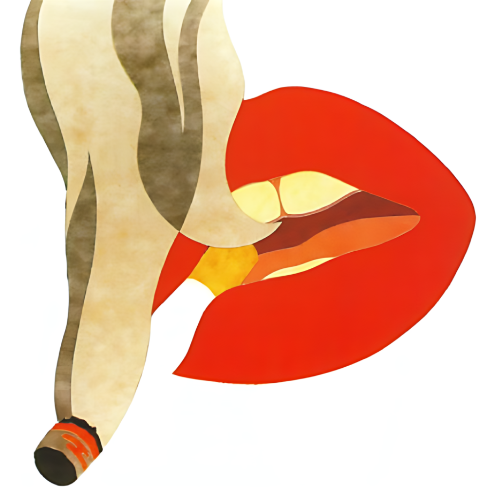 Bouche et Cigarette by Wesselmann