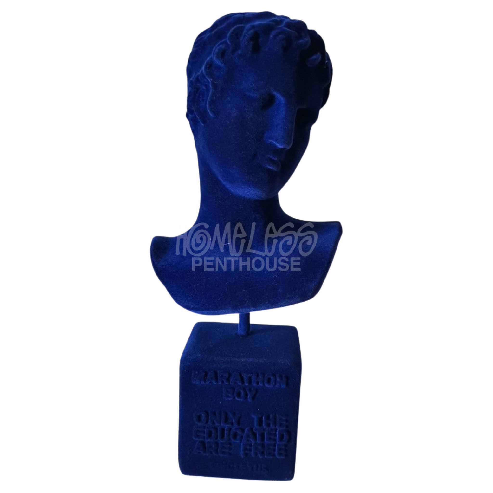 Velvet Greek God Nike Bust